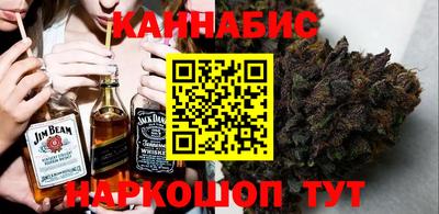 гашик Дубна