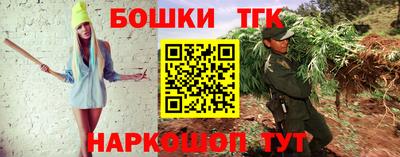 гашик Дубна