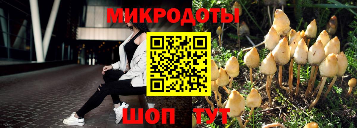 Псилоцибиновые грибы Psilocybine cubensis  Вход с VPN  Магадан  Галлюциногенные грибы прущие грибы 