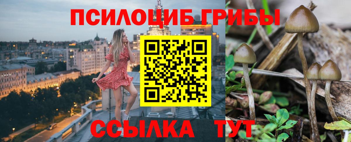 Галлюциногенные грибы MAGIC MUSHROOMS Магадан